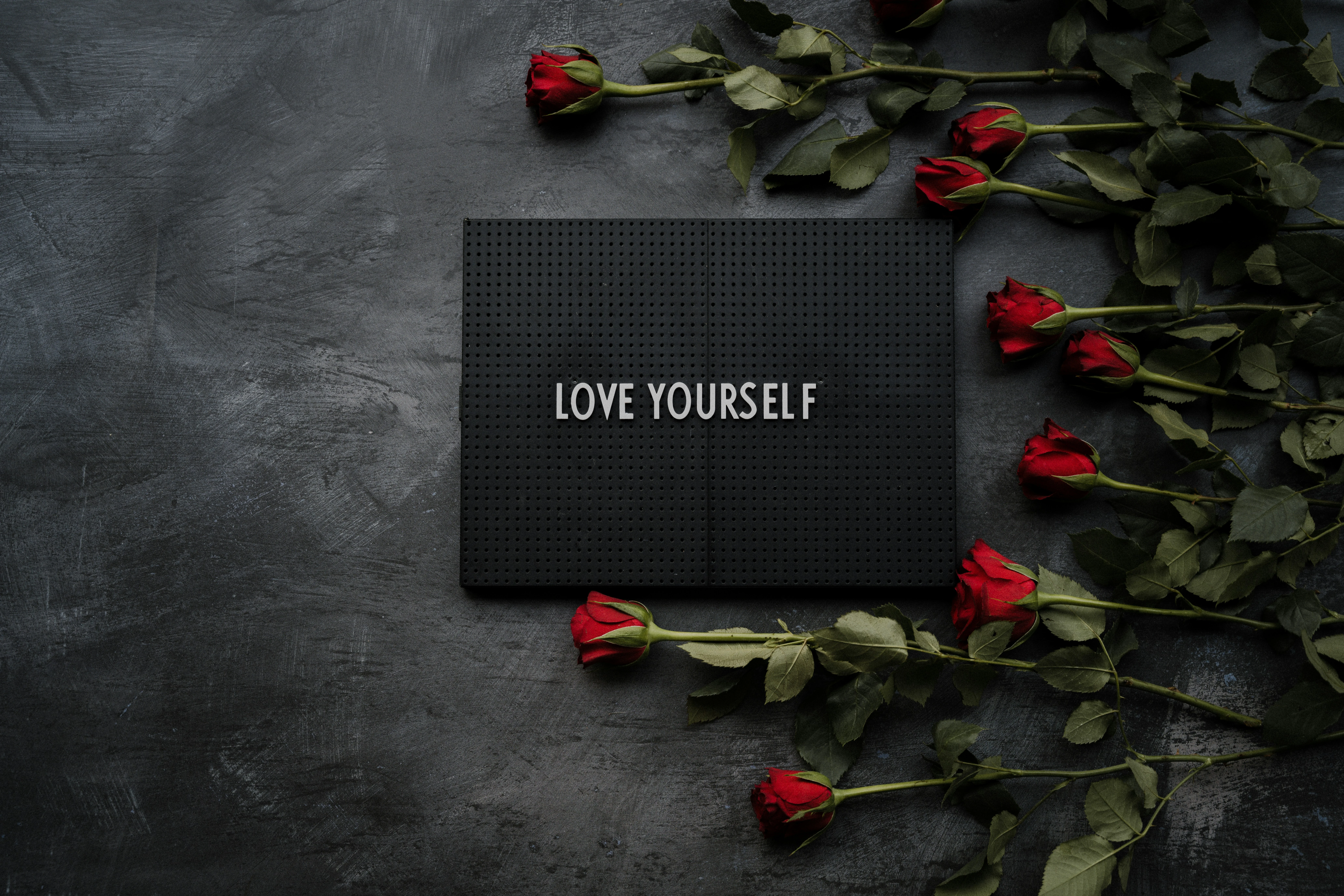 annie spratt WQC8HvAU2SY unsplash